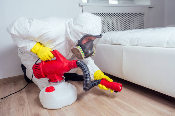 Best Fumigation Services  in Hubbard, OR